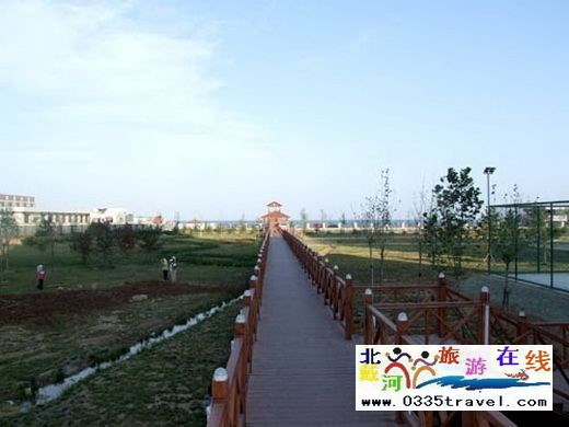 南戴河金海岸海景公寓