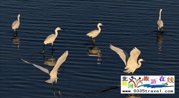 517dujia商旅平臺(tái)