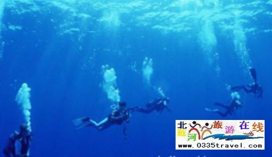 北戴河碧螺塔行者潛水俱樂(lè)部