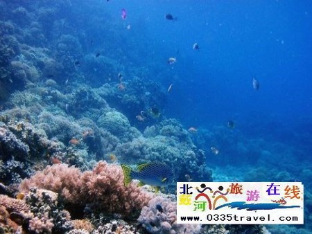 北戴河碧螺塔行者潛水俱樂(lè)部