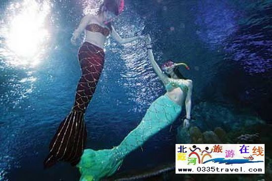 北戴河碧螺塔行者潛水俱樂(lè)部