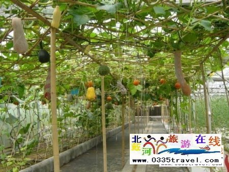 北戴河集發(fā)生態(tài)觀光園