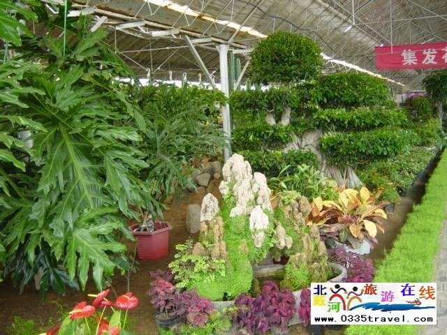 北戴河集發(fā)生態(tài)觀光園