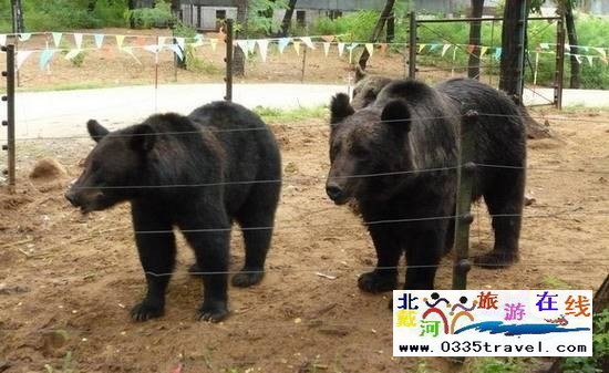 秦皇島野生動(dòng)物園