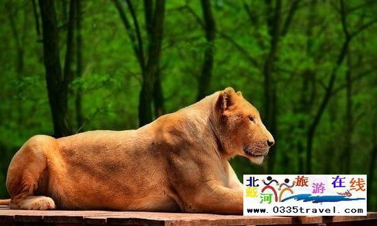 秦皇島野生動(dòng)物園