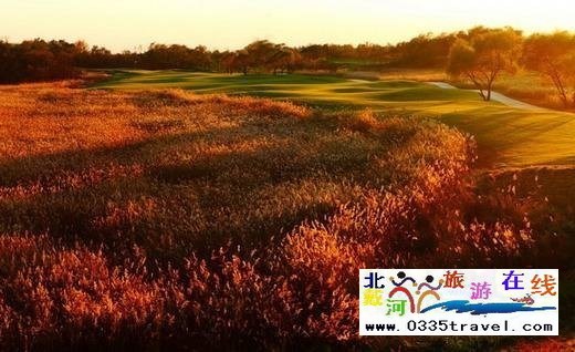 黃金海岸海濱高爾夫球會(huì)