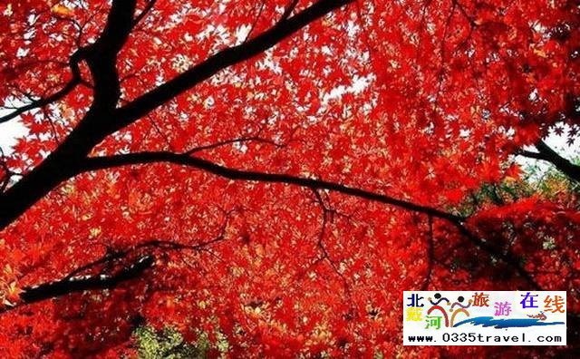 秦皇島祖山景區(qū)