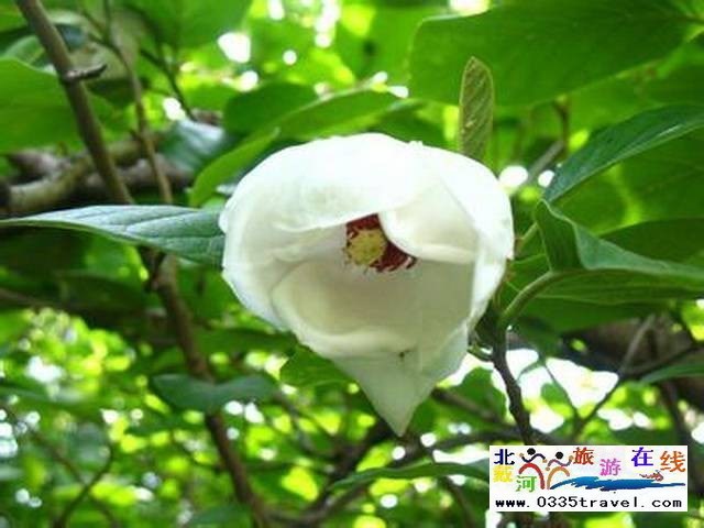 秦皇島祖山景區(qū)