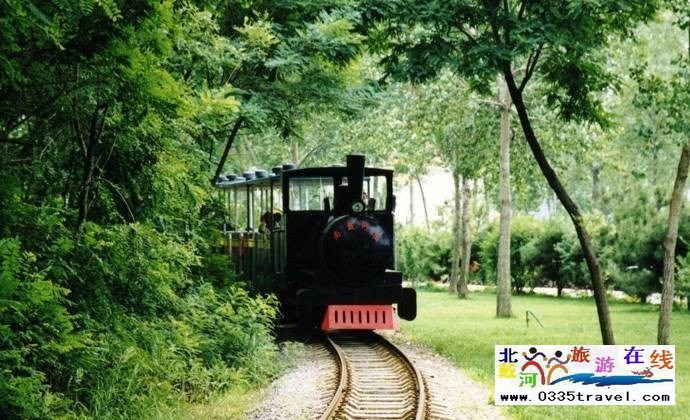 國(guó)際娛樂(lè)中心