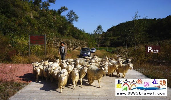 東戴河小河口長(zhǎng)城門(mén)票
