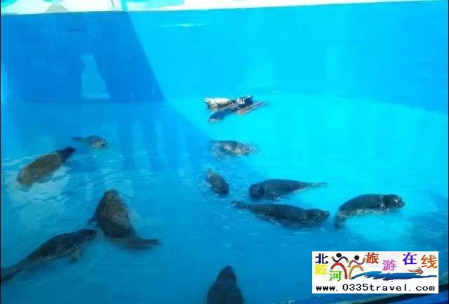 北戴河圣藍(lán)皇家海洋公園