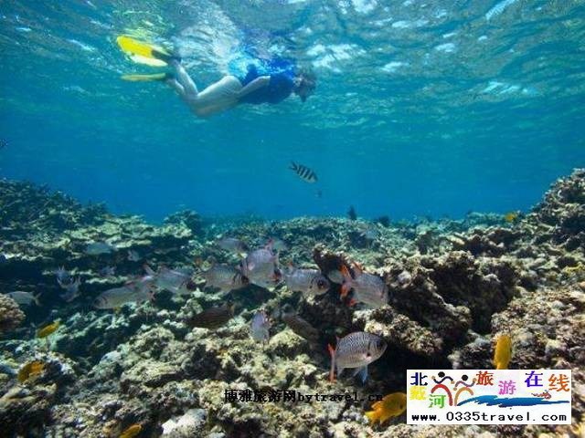 北戴河圣藍(lán)皇家海洋公園