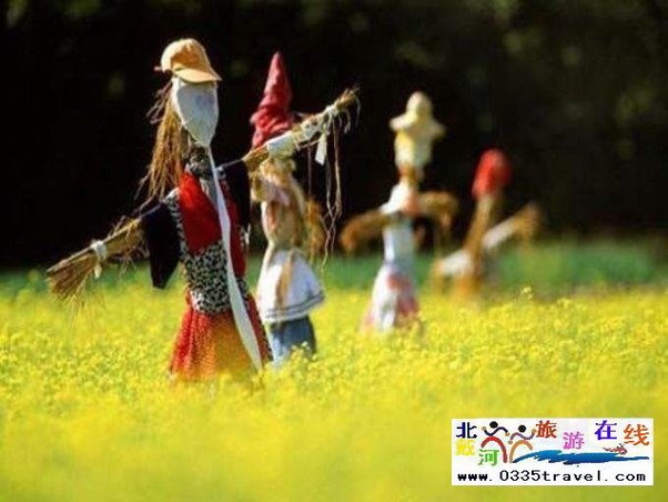 秦皇島人特惠游臺灣