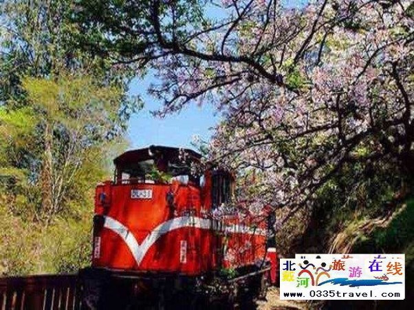 秦皇島人特惠游臺灣