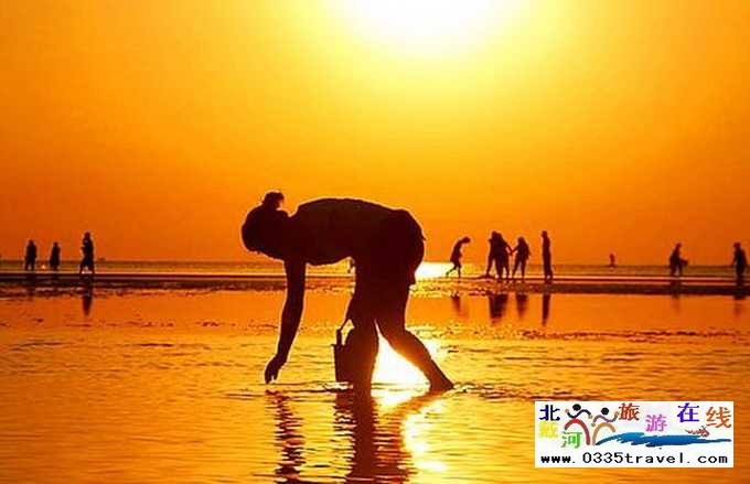 東戴河北戴河南戴河出海打漁看日出