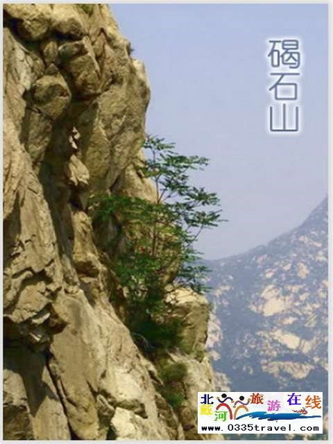 秦皇島一卡通旅游年票優(yōu)惠辦理電話(huà)0335-3522588 3522599 13191824199