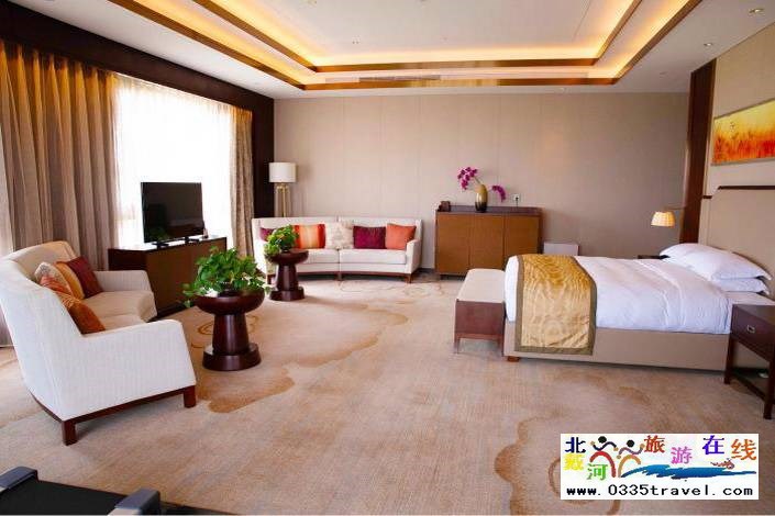 東戴河佳兆業(yè)鉑域酒店
