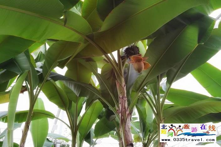 承德天域溫泉度假酒店