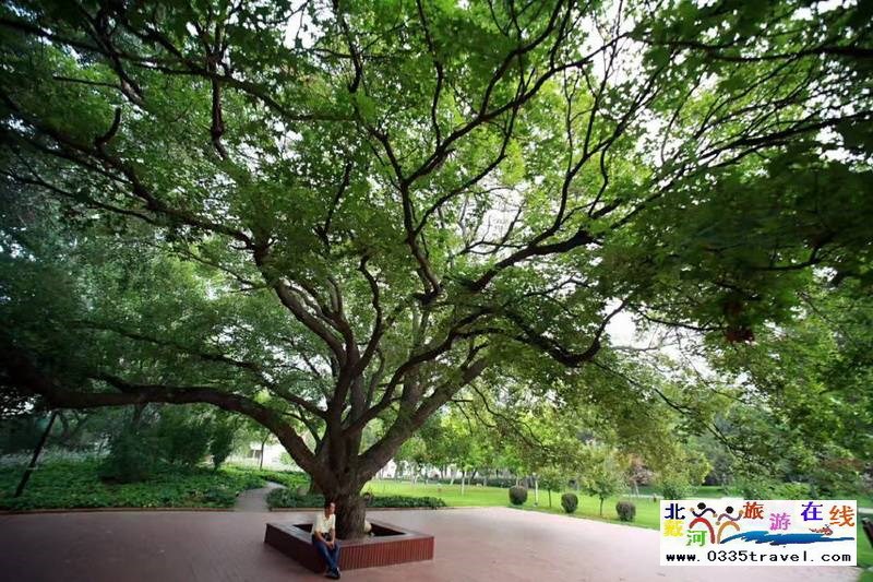 北戴河海情酒店(原華北電力大廈酒店)