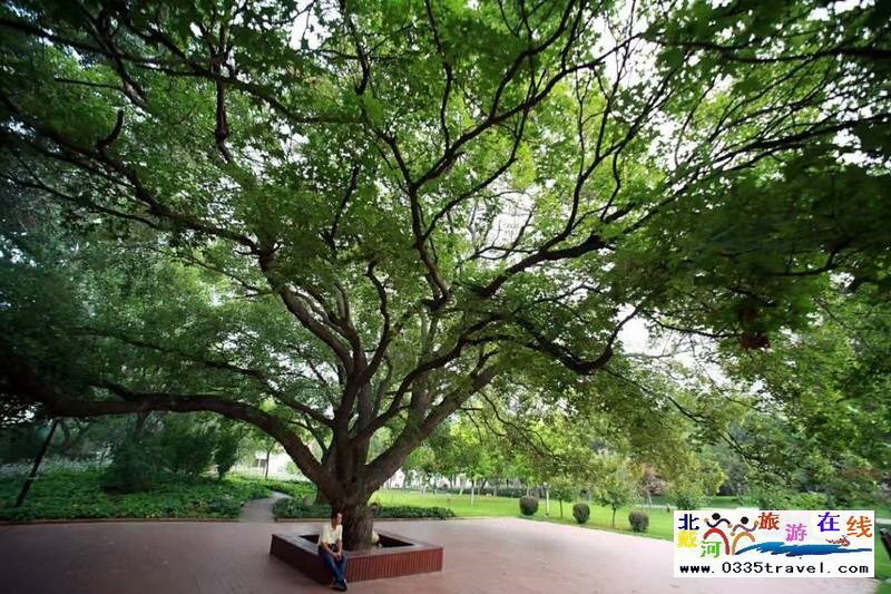 北戴河海情酒店(原華北電力大廈酒店)