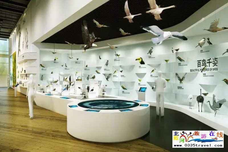 秦皇島北戴河鳥類博物館