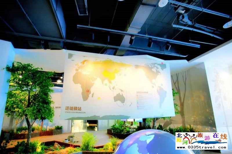 秦皇島北戴河鳥類博物館