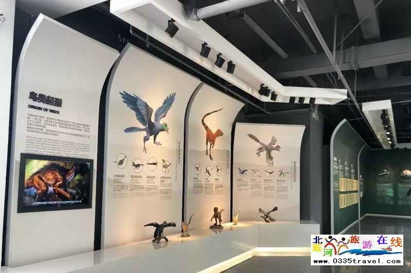 秦皇島北戴河鳥(niǎo)類(lèi)博物館