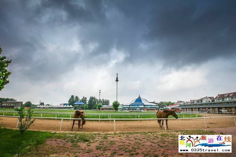 北戴河英倫國際馬術俱樂部