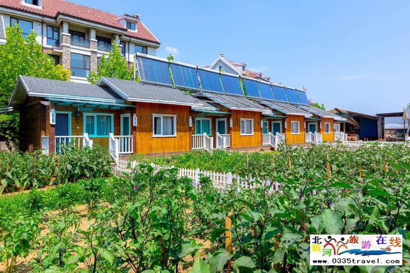 北戴河英倫國際馬術俱樂部