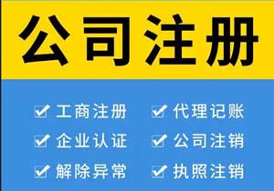 個人獨資企業(yè)與一人有限公司在納稅方面有什么差別